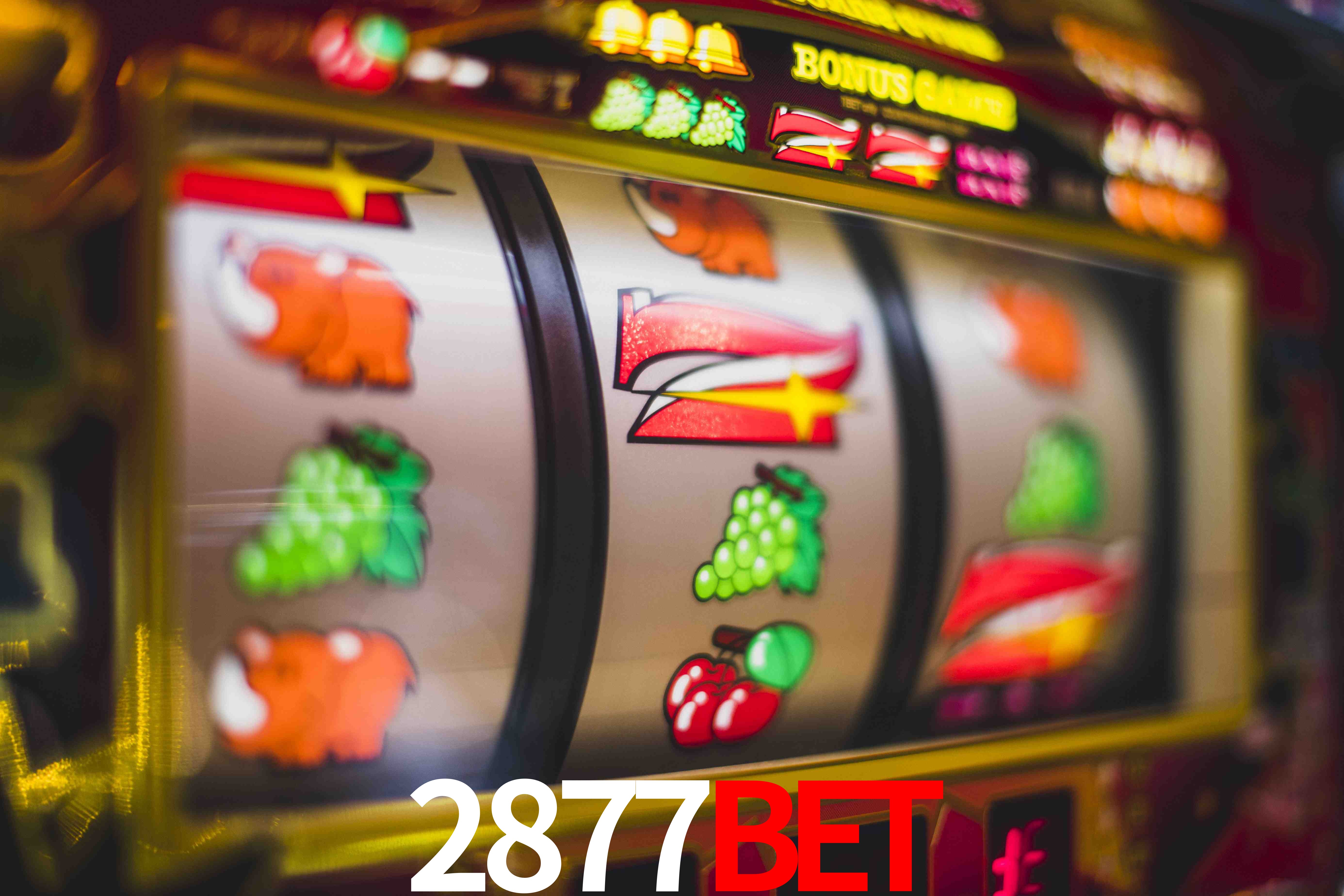 Sports Statistics 2877Bet